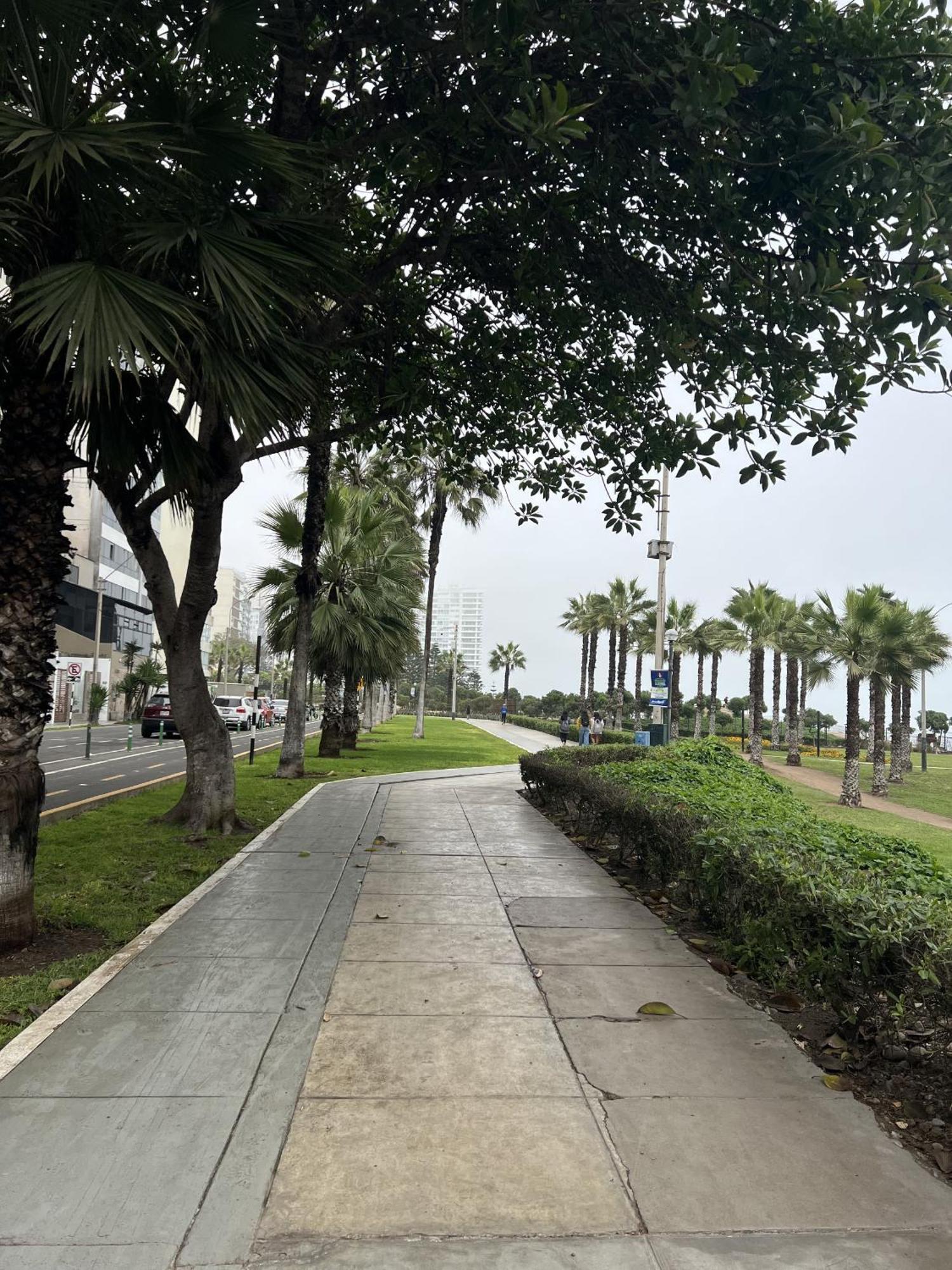 Acogedor 2br Miraflores - Tovar *